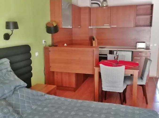 皮林广场斯克酒店 3* 班斯科